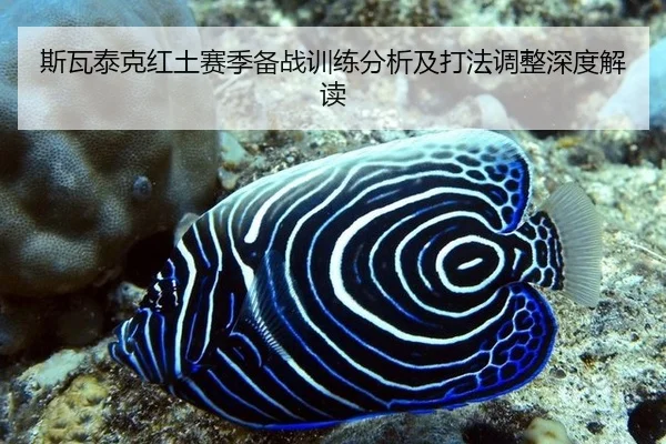 si-wa-tai-ke-hong-tu-sai-ji-bei-zhan-xun-lian-fen-xi-ji-da-fa-tiao-zheng-shen-du-jie-du-2-444.jpg